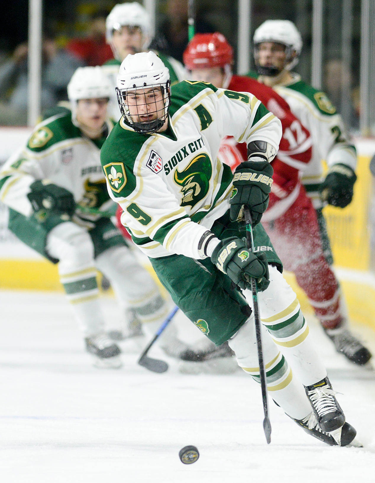 Hockey Sioux City Musketeers vs. Dubuque Fighting Saints
